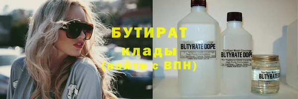 гидра Кодинск