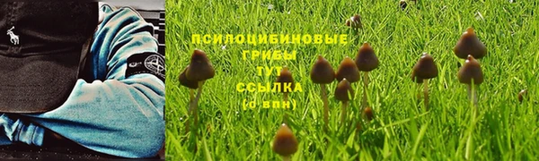 первитин Михайловск