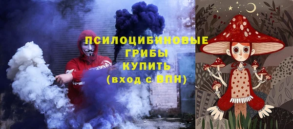 ECSTASY Михайлов
