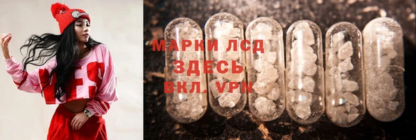 ПСИЛОЦИБИНОВЫЕ ГРИБЫ Алексеевка