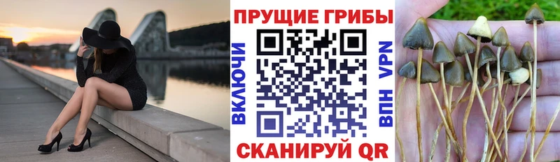 как найти   Сасово  Галлюциногенные грибы мухоморы 