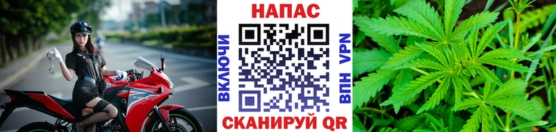 Конопля AK-47  Сасово 